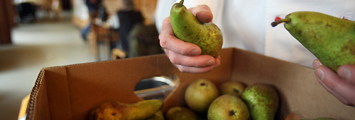 banner_suppenkueche-obst